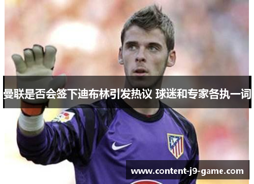 曼联是否会签下迪布林引发热议 球迷和专家各执一词