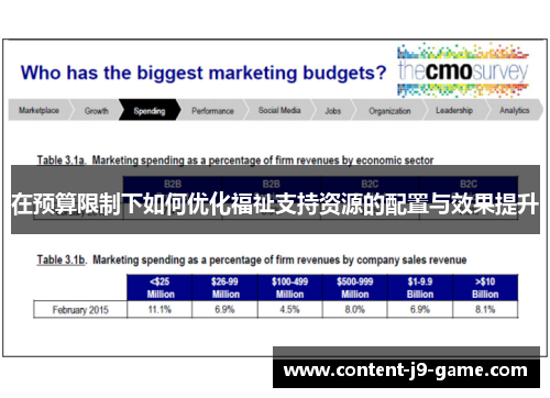 在预算限制下如何优化福祉支持资源的配置与效果提升 在预算限制下如何优化福祉支持资源的配置与效果提升