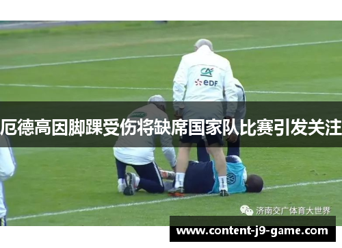 厄德高因脚踝受伤将缺席国家队比赛引发关注